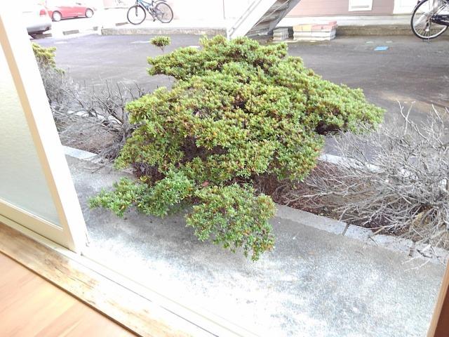 11/19 バルコニー