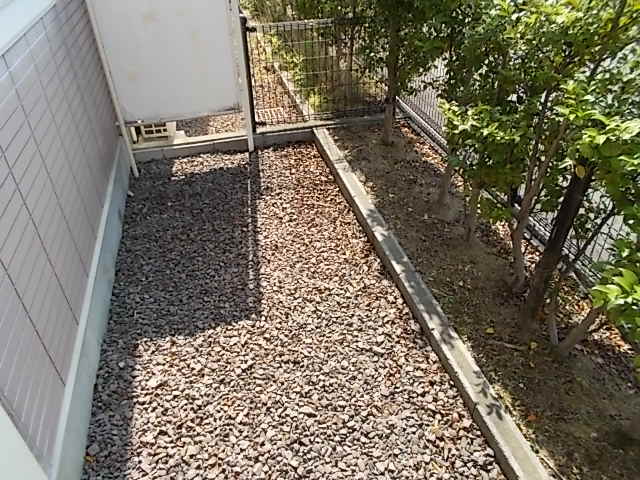 11/20 その他画像