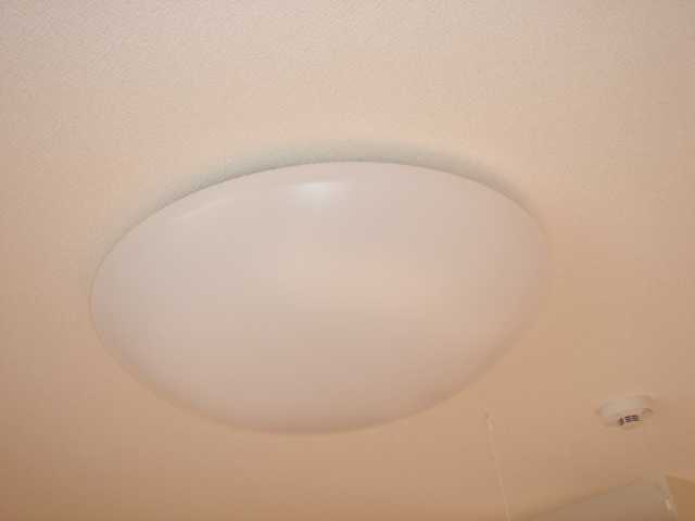 19/28 その他画像