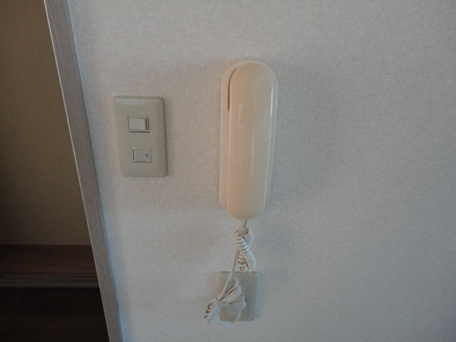 17/25 その他画像