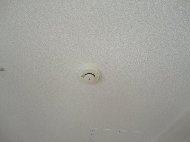 19/27 その他画像