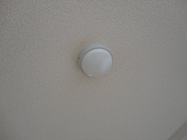 20/25 その他画像