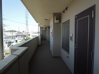 14/28 その他画像