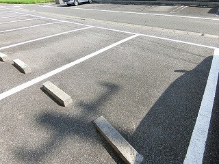 11/19 その他画像