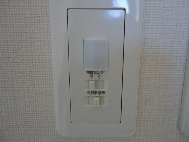 21/24 その他画像