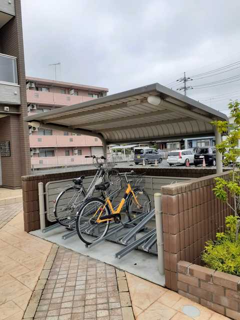 11/24 その他画像