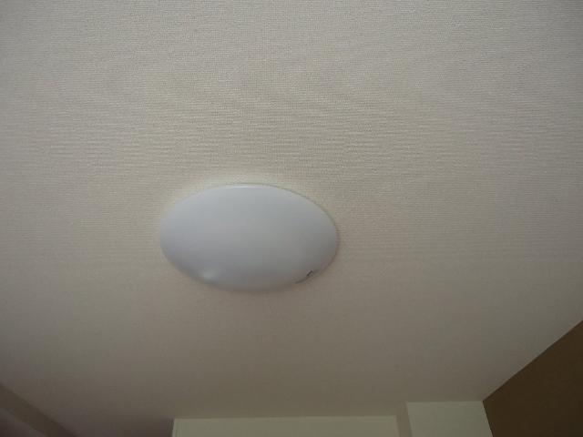 21/23 その他画像