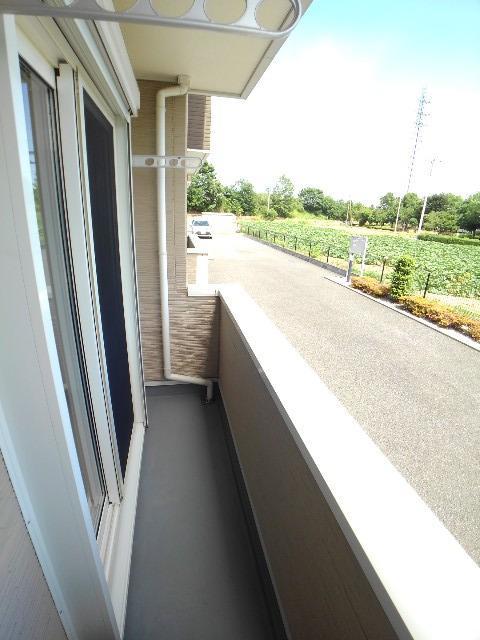 11/24 バルコニー