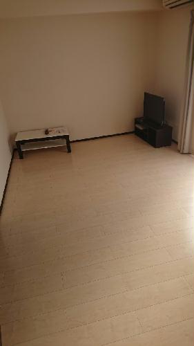 11/17 その他画像