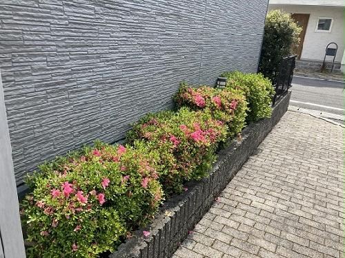 13/15 その他画像