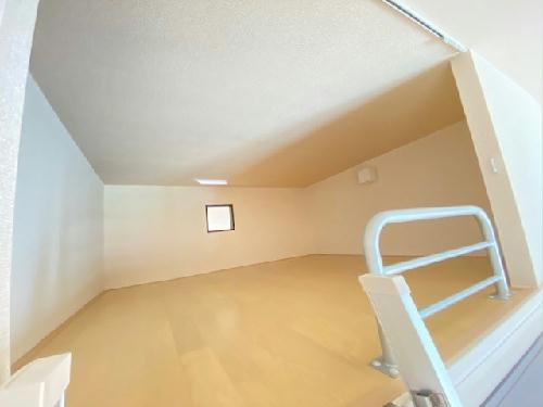 11/22 その他画像