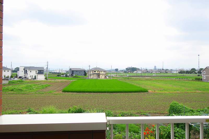 12/30 その他画像