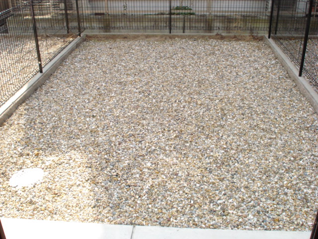 21/24 その他画像