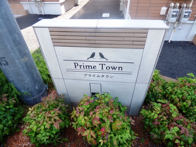 13/24 その他画像