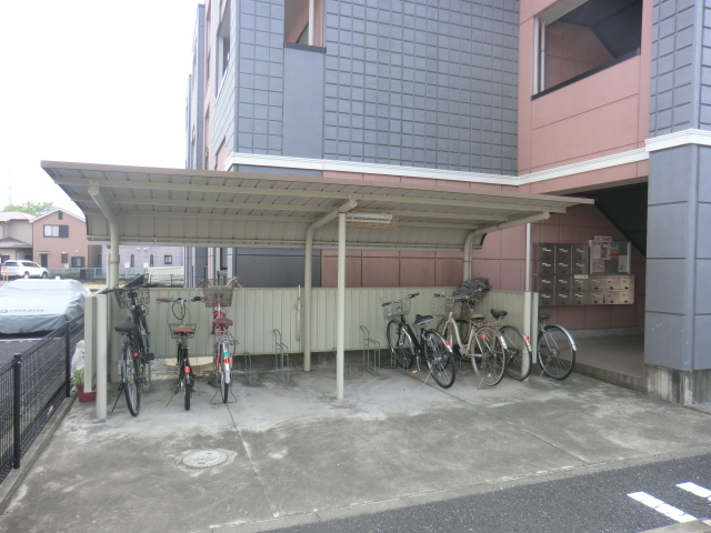 20/30 その他画像