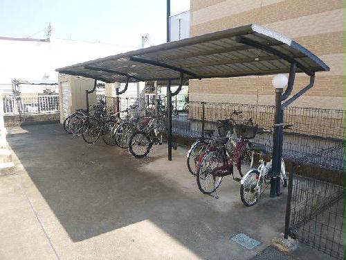 11/24 その他画像