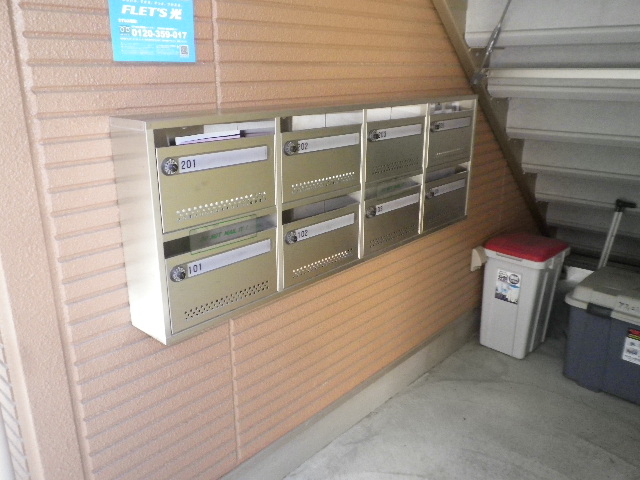 20/30 その他画像