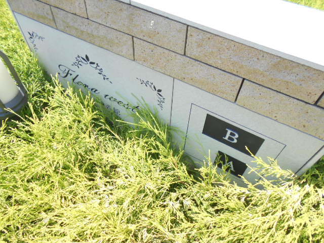 18/28 その他画像