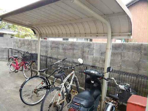 12/16 その他画像