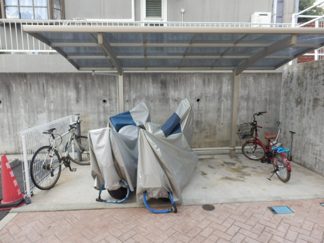 その他画像