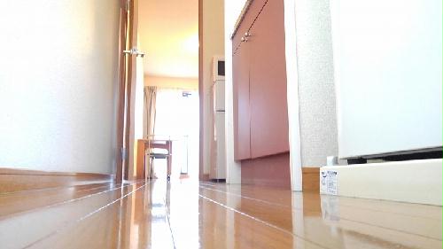 5/21 玄関
