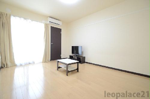 13/13 その他画像