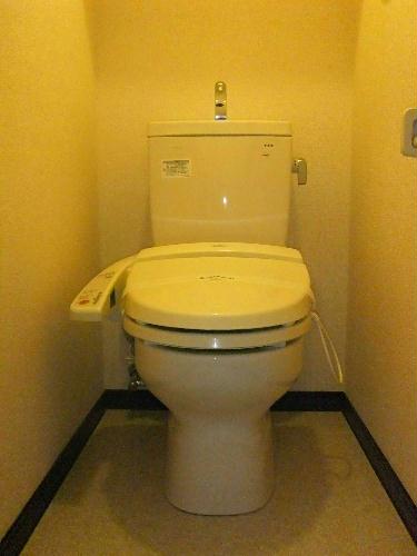 7/15 その他画像