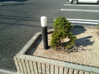 14/28 その他画像