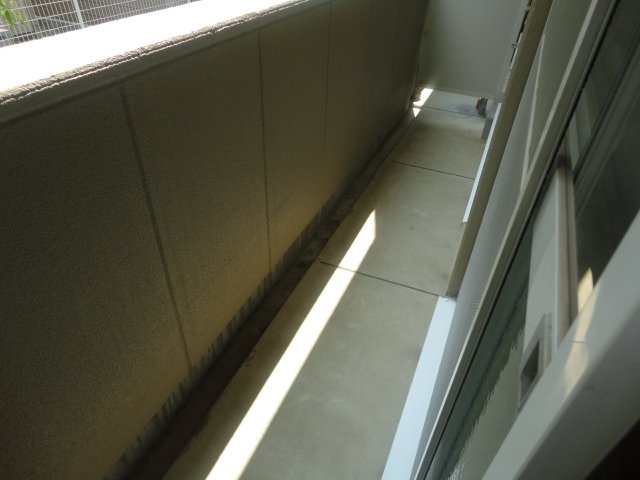 16/25 その他画像