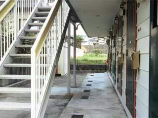 11/11 その他画像