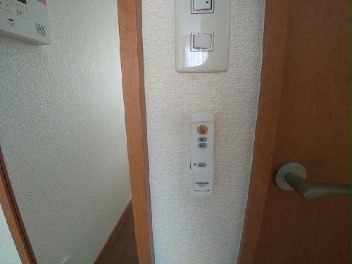 11/14 その他画像