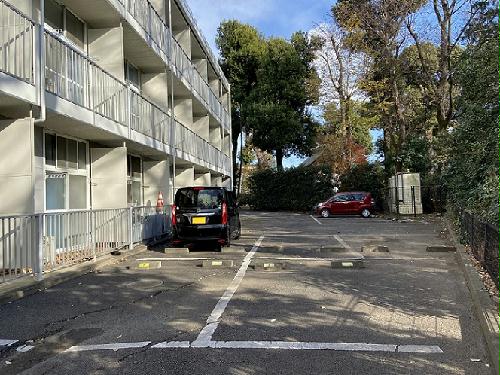 11/15 その他画像