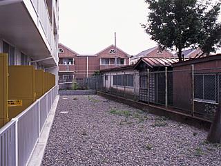 11/13 その他画像