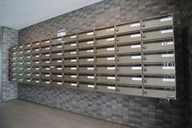 14/14 その他画像