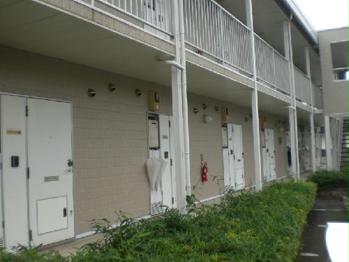 6/16 その他画像