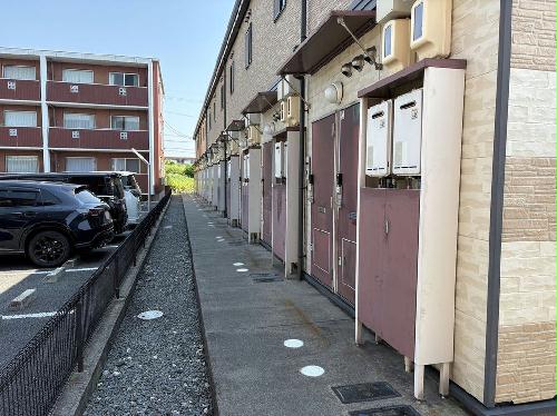 5/17 その他画像