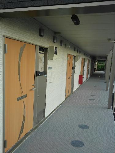 11/14 その他画像