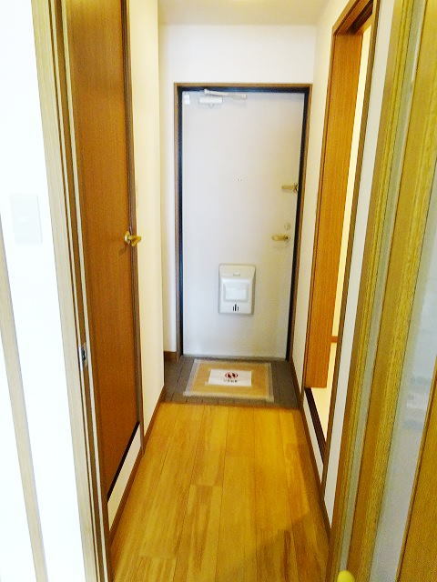 15/24 その他画像