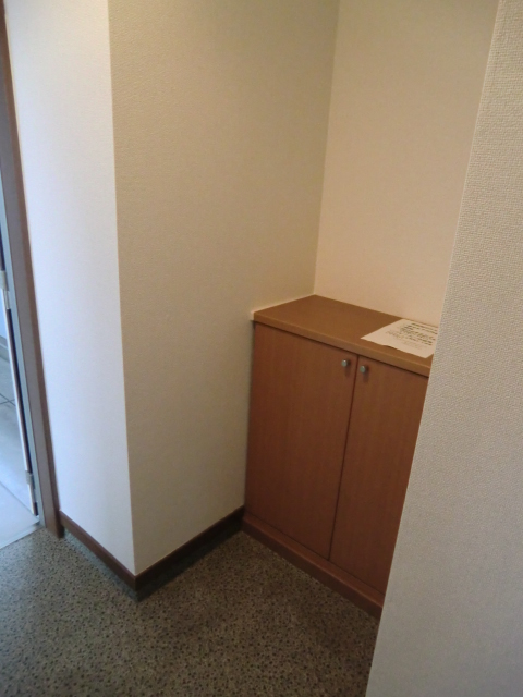 その他共有