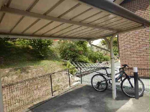 11/17 その他画像