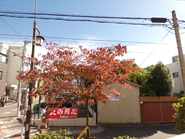 29/30 その他画像