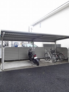 11/25 その他画像