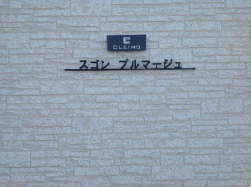 13/19 その他画像