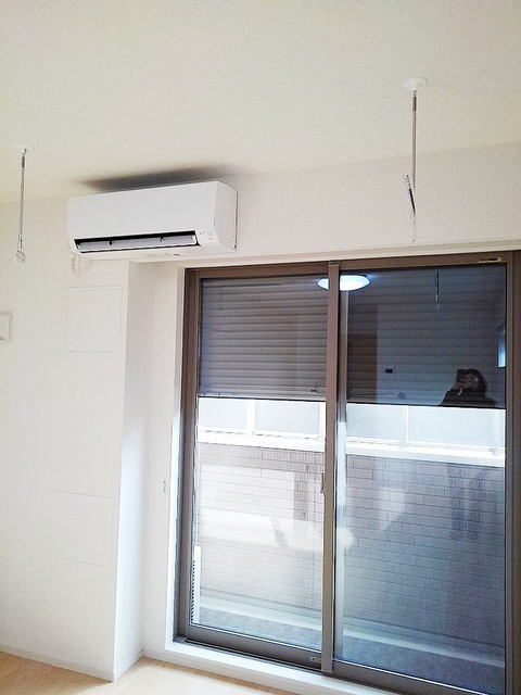 11/22 その他画像