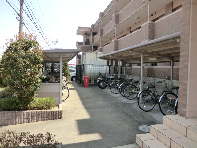 20/30 その他画像