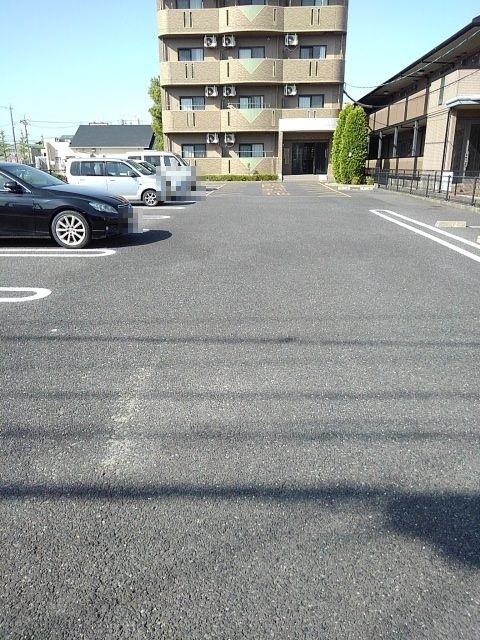 3/13 駐車場