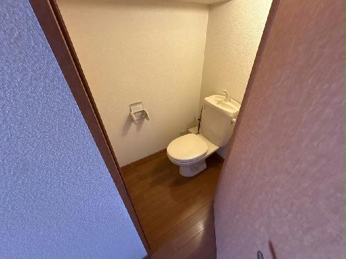 8/14 その他画像