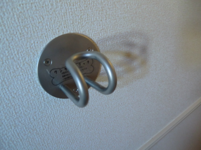 15/25 その他画像