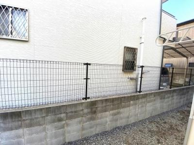 11/14 その他画像