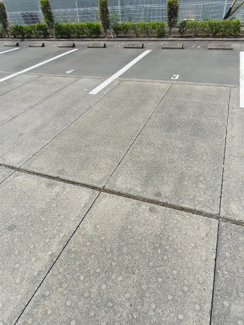 14/19 駐車場